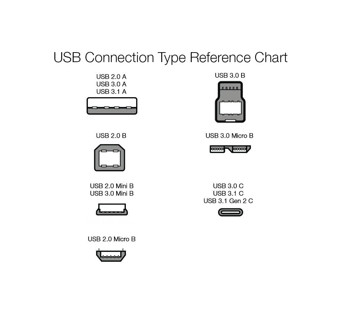 AmazonBasics USB Type-C to USB 3.1 Gen1 Female Adapter - White, 10-Pack