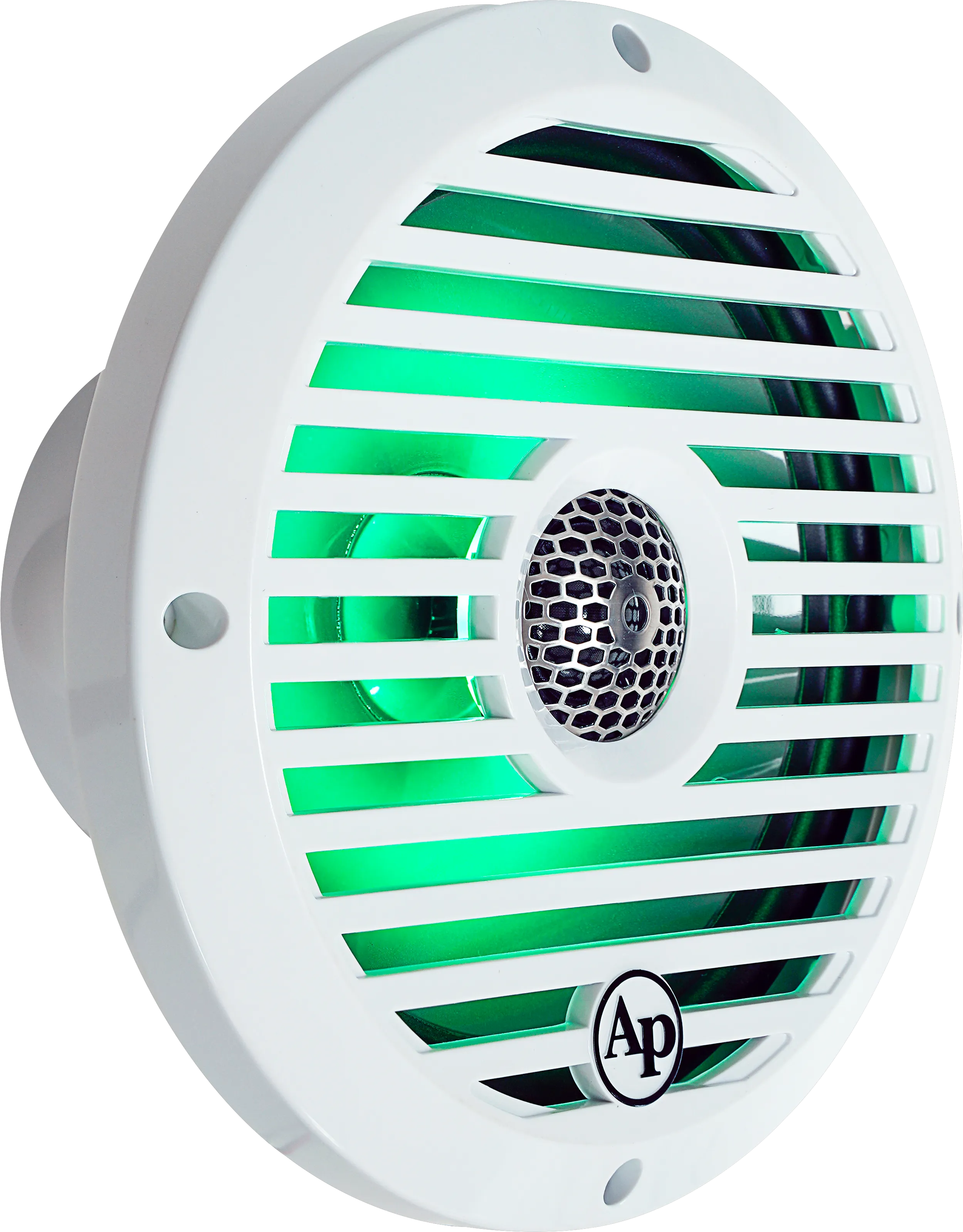 Audiopipe 8” Coaxial 2-Way Marine Speaker with LED lights (APSW-804GL) 2024 SALT WATER SERIES