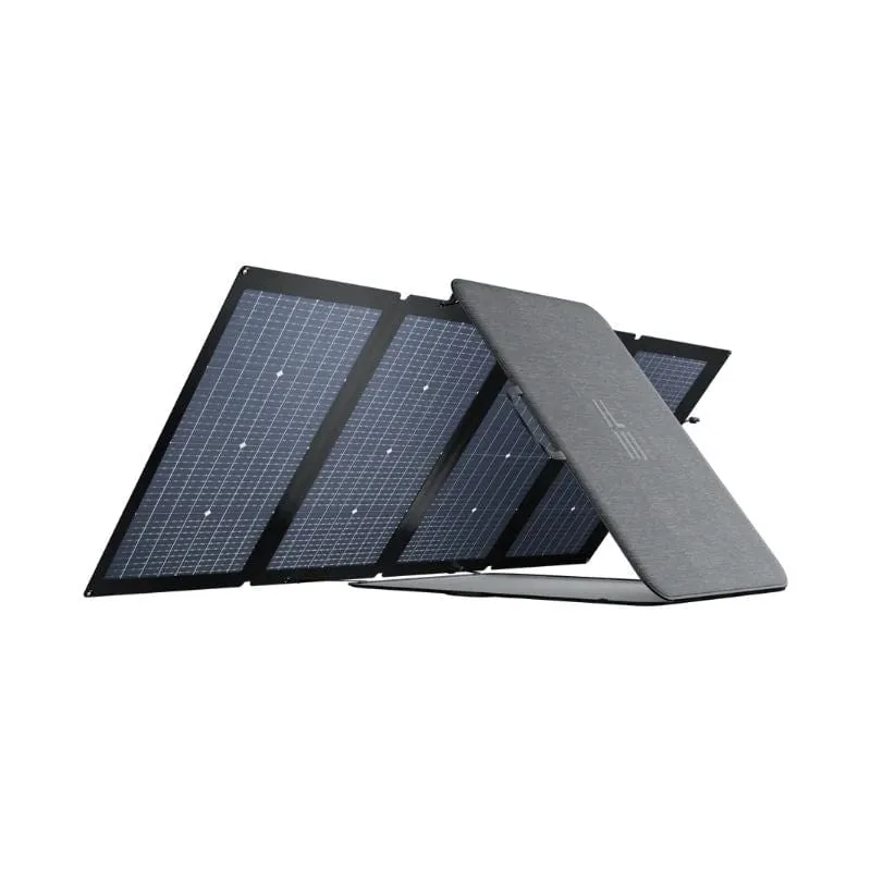 EcoFlow DELTA Max 1600 Portable Power Station    2x 220W Solar Panels